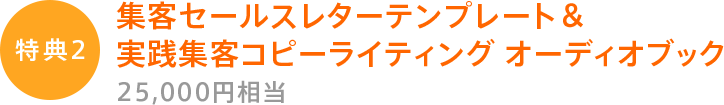 特典２集客セールスレターテンプレート＆実践集客コピーライティングオーディオブック25,000円